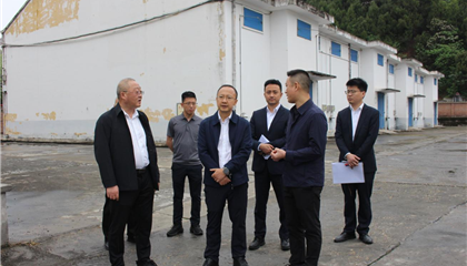 市國資委調(diào)研督導(dǎo)興業(yè)集團經(jīng)營管理工作